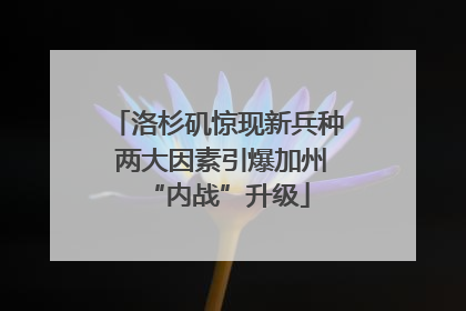 洛杉矶惊现新兵种 两大因素引爆加州“内战”升级