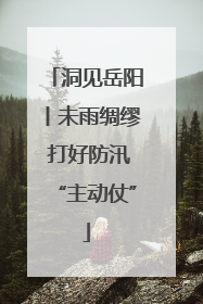 洞见岳阳丨未雨绸缪 打好防汛“主动仗”