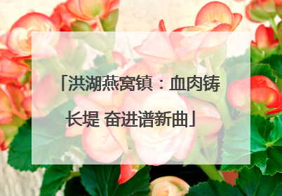 洪湖燕窝镇：血肉铸长堤 奋进谱新曲