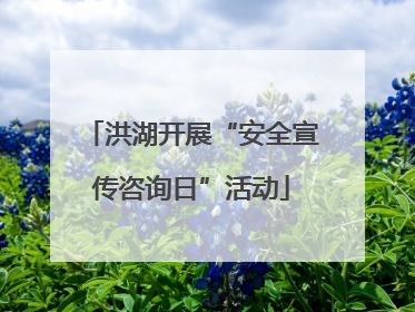 洪湖开展“安全宣传咨询日”活动