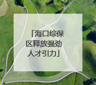 海口综保区释放强劲人才引力
