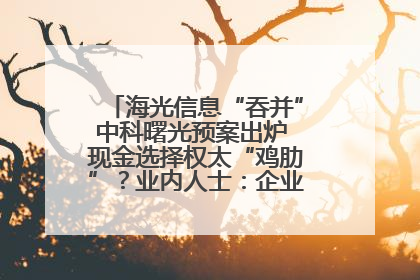 海光信息“吞并”中科曙光预案出炉 现金选择权太“鸡肋”？业内人士：企业不想大量现金流出