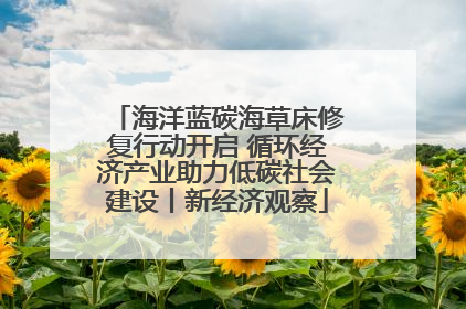 海洋蓝碳海草床修复行动开启 循环经济产业助力低碳社会建设丨新经济观察