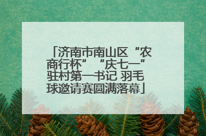 济南市南山区“农商行杯”“庆七一”驻村第一书记 羽毛球邀请赛圆满落幕