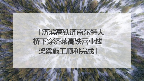 济滨高铁济南东特大桥下穿济莱高铁营业线架梁施工顺利完成