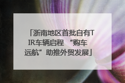 浙南地区首批自有TIR车辆启程 “购车远航”助推外贸发展