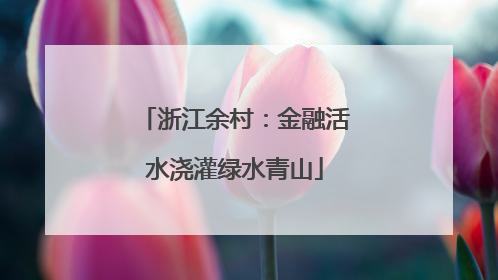 浙江余村：金融活水浇灌绿水青山