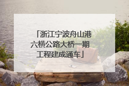 浙江宁波舟山港六横公路大桥一期工程建成通车