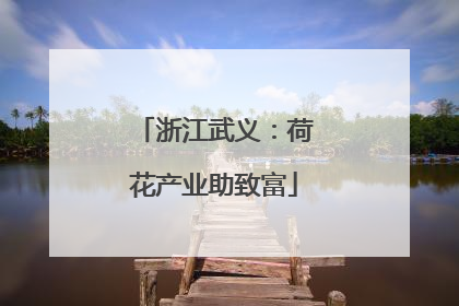 浙江武义：荷花产业助致富