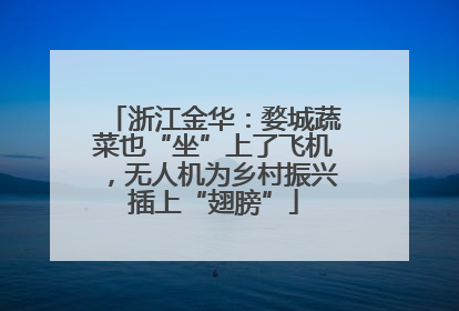 浙江金华：婺城蔬菜也“坐”上了飞机，无人机为乡村振兴插上“翅膀”