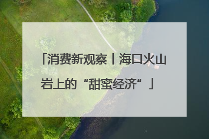 消费新观察丨海口火山岩上的“甜蜜经济”