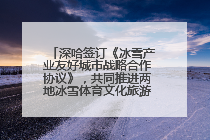 深哈签订《冰雪产业友好城市战略合作协议》，共同推进两地冰雪体育文化旅游高质量发展