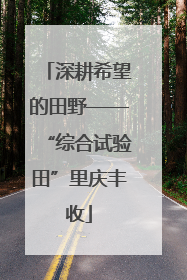 深耕希望的田野——“综合试验田”里庆丰收