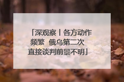 深观察丨各方动作频繁  俄乌第二次直接谈判前景不明