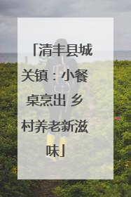 清丰县城关镇：小餐桌烹出 乡村养老新滋味