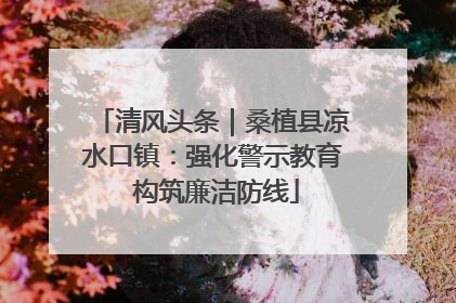 清风头条｜桑植县凉水口镇：强化警示教育 构筑廉洁防线