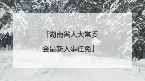 湖南省人大常委会最新人事任免