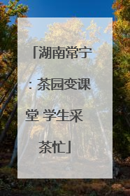 湖南常宁：茶园变课堂 学生采茶忙
