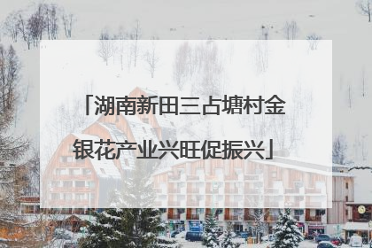 湖南新田三占塘村金银花产业兴旺促振兴