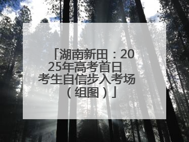 湖南新田：2025年高考首日 考生自信步入考场（组图）