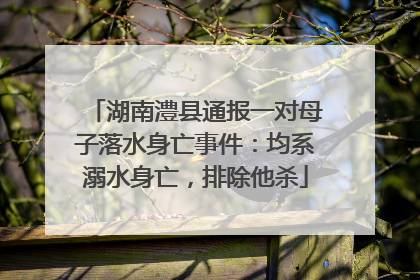湖南澧县通报一对母子落水身亡事件：均系溺水身亡，排除他杀