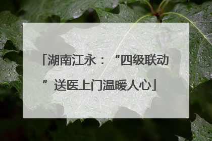 湖南江永：“四级联动”送医上门温暖人心