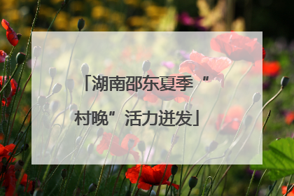 湖南邵东夏季“村晚”活力迸发