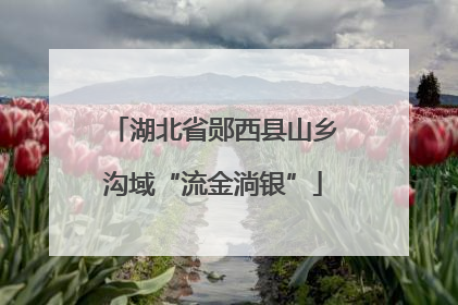 湖北省郧西县山乡沟域“流金淌银”