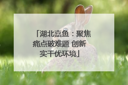 湖北嘉鱼：聚焦痛点破难题 创新实干优环境