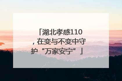 湖北孝感110，在变与不变中守护“万家安宁”