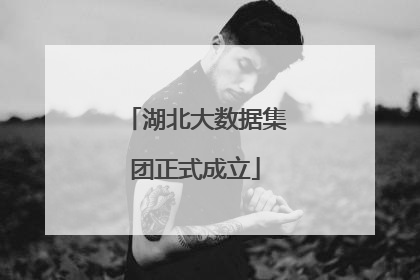 湖北大数据集团正式成立