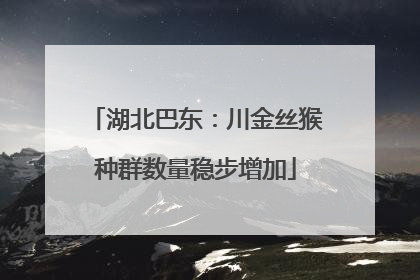 湖北巴东：川金丝猴种群数量稳步增加