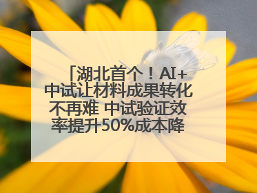 湖北首个！AI+中试让材料成果转化不再难 中试验证效率提升50%成本降低60%