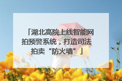 湖北高院上线智能网拍预警系统，打造司法拍卖“防火墙”