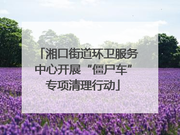 湘口街道环卫服务中心开展“僵尸车”专项清理行动