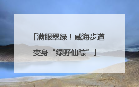 满眼翠绿！威海步道变身“绿野仙踪”