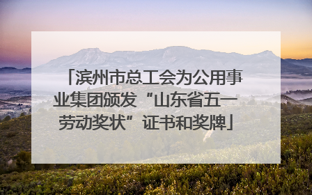 滨州市总工会为公用事业集团颁发“山东省五一劳动奖状”证书和奖牌