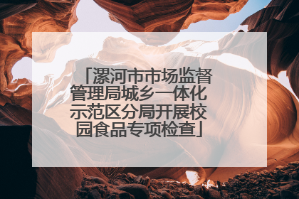 漯河市市场监督管理局城乡一体化示范区分局开展校园食品专项检查