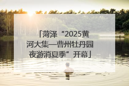 菏泽“2025黄河大集—曹州牡丹园夜游消夏季”开幕