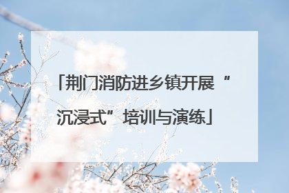 荆门消防进乡镇开展“沉浸式”培训与演练