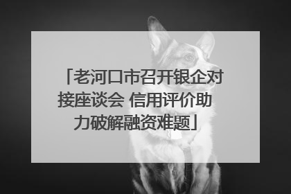 老河口市召开银企对接座谈会 信用评价助力破解融资难题