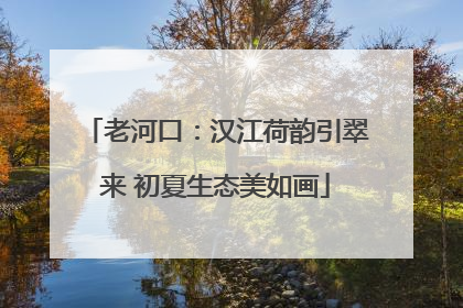 老河口：汉江荷韵引翠来 初夏生态美如画