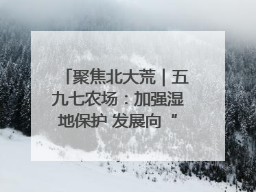 聚焦北大荒｜五九七农场：加强湿地保护 发展向“绿”而行