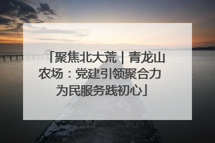 聚焦北大荒｜青龙山农场：党建引领聚合力 为民服务践初心