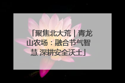聚焦北大荒｜青龙山农场：融合节气智慧 深耕安全沃土
