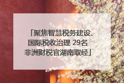 聚焦智慧税务建设、国际税收治理 29名非洲财税官湖南取经