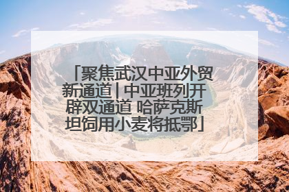 聚焦武汉中亚外贸新通道│中亚班列开辟双通道 哈萨克斯坦饲用小麦将抵鄂