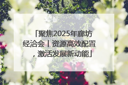 聚焦2025年廊坊经洽会丨资源高效配置，激活发展新动能