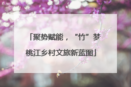 聚势赋能，“竹”梦桃江乡村文旅新蓝图