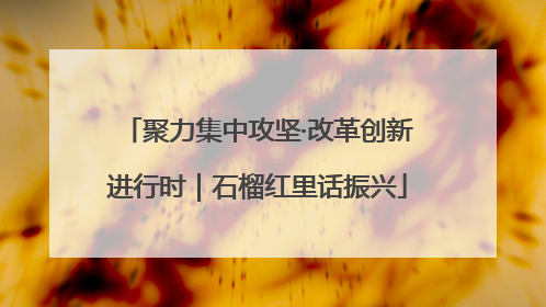 聚力集中攻坚·改革创新进行时｜石榴红里话振兴